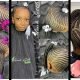 Hairstyles for girls